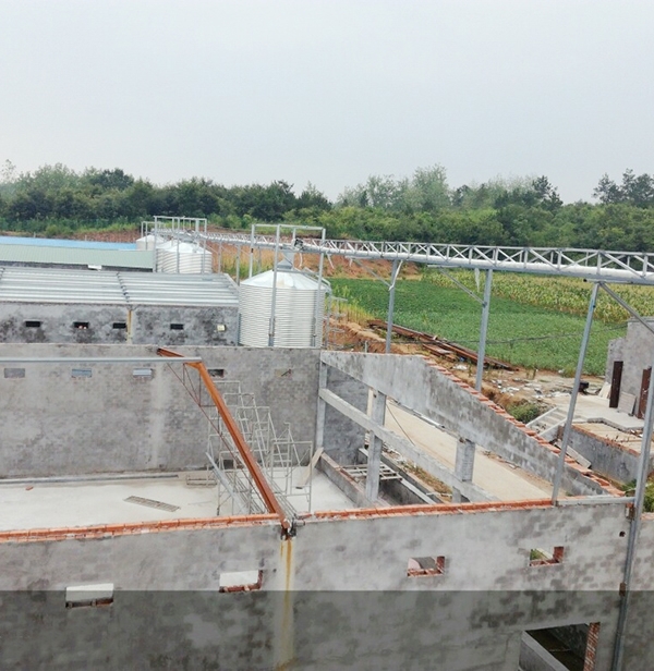 ȫ�Զ�����װ��Ӧ����״����������