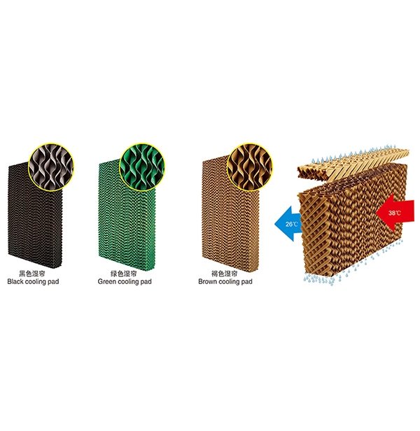 ���콵��ʪ��