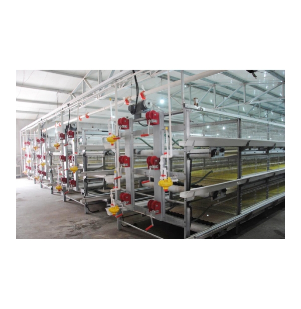 �����⼦����ϵͳ